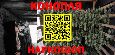 гидра Беслан