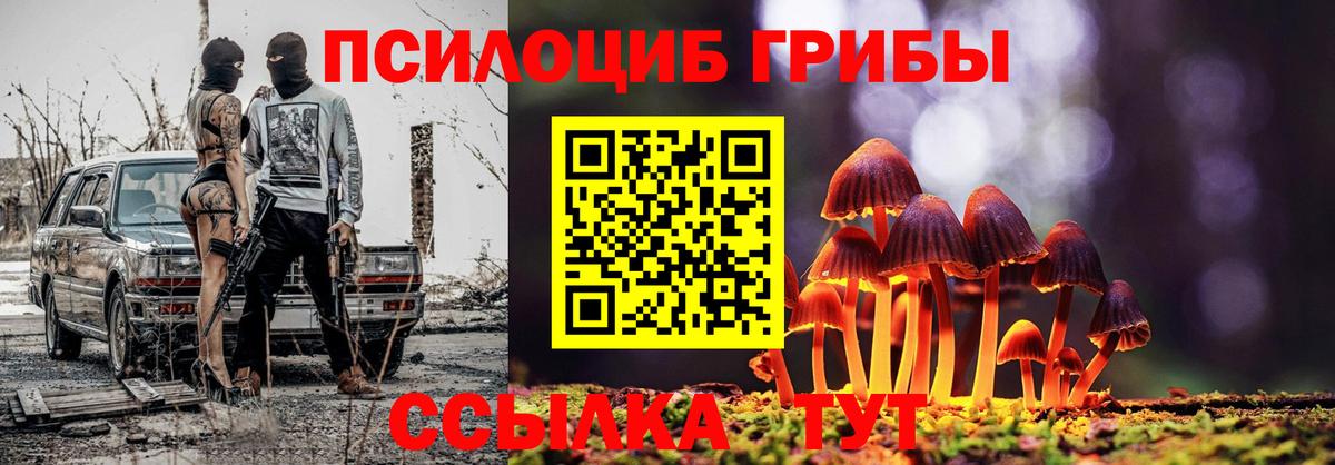 Галлюциногенные грибы Magic Shrooms  Вход с VPN  Кимры 